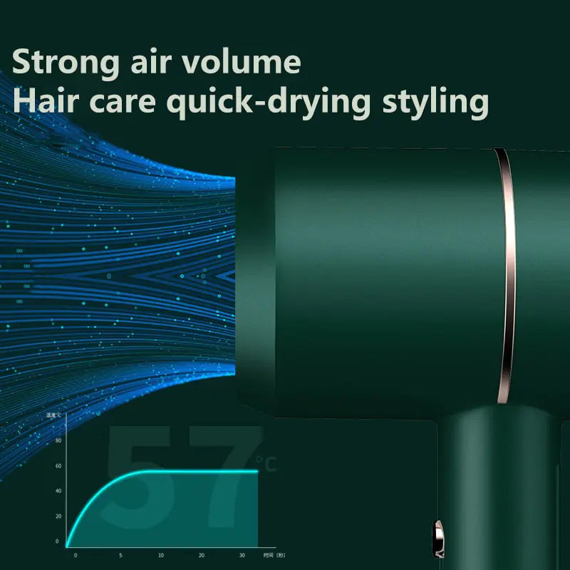 Electric Hair Dryer
